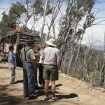 yrtleford - Avventura con il 4x4 sul mt. buffalo national park.